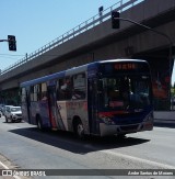 Empresa de Ônibus Vila Galvão 30.531 na cidade de São Paulo, São Paulo, Brasil, por Andre Santos de Moraes. Número da foto: #:id.