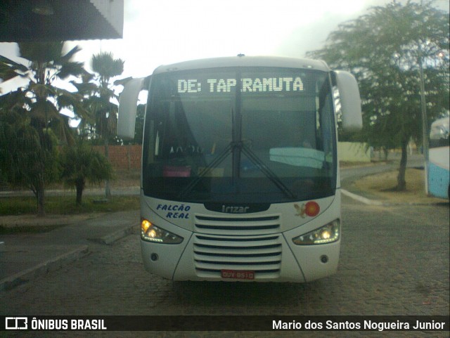 Falcão Real 1423 na cidade de Piritiba, Bahia, Brasil, por Mario dos Santos Nogueira Junior. ID da foto: 7192488.