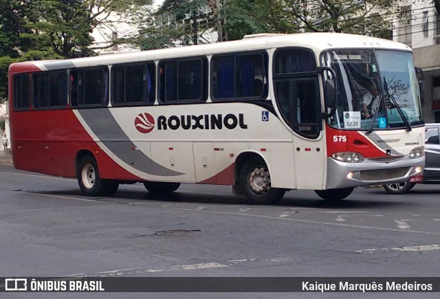 Rouxinol 575 na cidade de Belo Horizonte, Minas Gerais, Brasil, por Kaique Marquês Medeiros . Número da foto: #7190620.