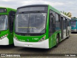 Viação Santa Brígida 1 1321 na cidade de São Paulo, São Paulo, Brasil, por Caio  Takeda. Número da foto: #7190197.