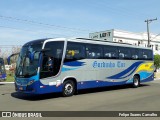 Gordinho Tur 4010 na cidade de Holambra, São Paulo, Brasil, por Felipe Soares Carvalho. Número da foto: #7192094.