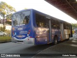 Vipol Transportes Rodoviários - TIPBUS - Transportes Intermunicipal 36.106 na cidade de São Paulo, São Paulo, Brasil, por Roberto Teixeira. Número da foto: #7116522.