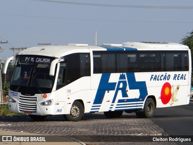 Falcão Real 1415 na cidade de Juazeiro, Bahia, Brasil, por Cleiton Rodrigues. ID da foto: 7120088.