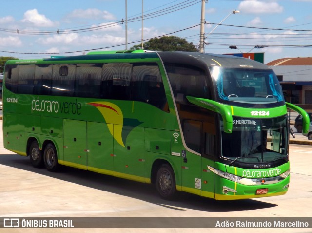 Pássaro Verde 12124 na cidade de Betim, Minas Gerais, Brasil, por Adão Raimundo Marcelino. ID da foto: 7120887.