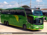 Pássaro Verde 12124 na cidade de Betim, Minas Gerais, Brasil, por Adão Raimundo Marcelino. Número da foto: #7120887.