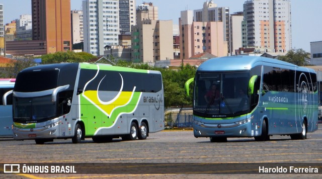 Viação Garcia 8175 na cidade de Londrina, Paraná, Brasil, por Haroldo Ferreira. Número da foto: #7124457.