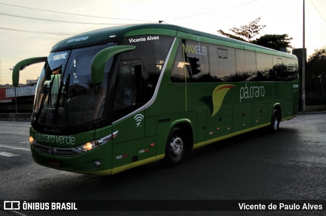 Pássaro Verde 15129 na cidade de Belo Horizonte, Minas Gerais, Brasil, por Vicente de Paulo Alves. Número da foto: #7124073.