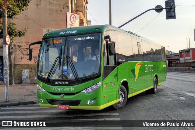 Pássaro Verde 19166 na cidade de Belo Horizonte, Minas Gerais, Brasil, por Vicente de Paulo Alves. Número da foto: #7124138.