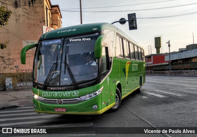Pássaro Verde 11084 na cidade de Belo Horizonte, Minas Gerais, Brasil, por Vicente de Paulo Alves. Número da foto: #7124109.
