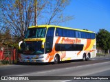 Pullman Bus 2124 na cidade de San Fernando, Colchagua, Libertador General Bernardo O'Higgins, Chile, por Pablo Andres Yavar Espinoza. ID da foto: :id.