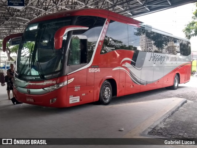 Empresa de Ônibus Pássaro Marron 5954 na cidade de São José dos Campos, São Paulo, Brasil, por Gabriel Lucas. ID da foto: 7124972.