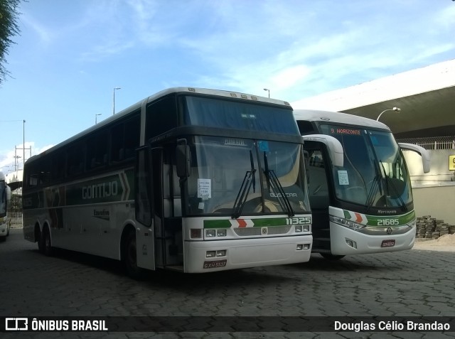 Empresa Gontijo de Transportes 11325 na cidade de Belo Horizonte, Minas Gerais, Brasil, por Douglas Célio Brandao. ID da foto: 7128437.