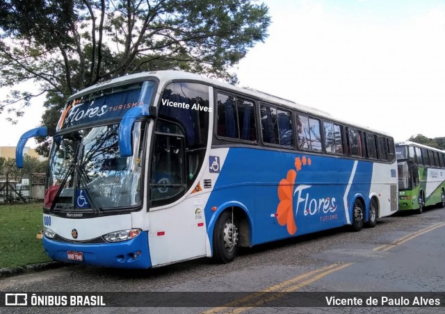 Flores Turismo 1000 na cidade de Belo Horizonte, Minas Gerais, Brasil, por Vicente de Paulo Alves. Número da foto: #7130334.