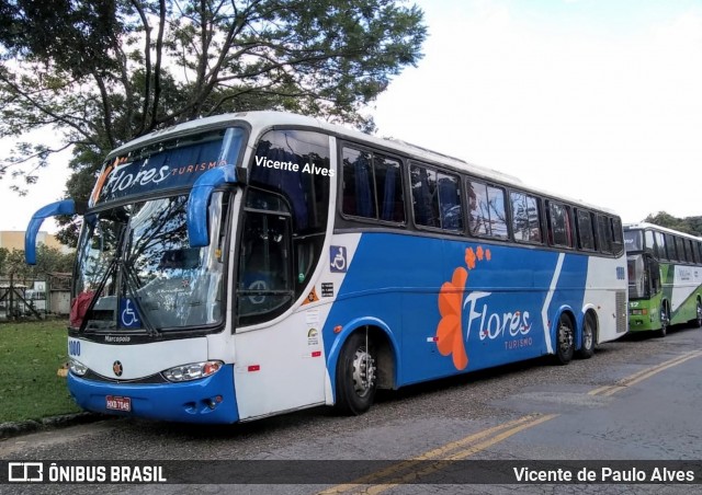 Flores Turismo 1000 na cidade de Belo Horizonte, Minas Gerais, Brasil, por Vicente de Paulo Alves. ID da foto: 7130334.