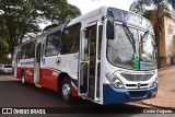 Ribe Transporte 1850 na cidade de Jardinópolis, São Paulo, Brasil, por Cicero Augusto. Número da foto: #:id.
