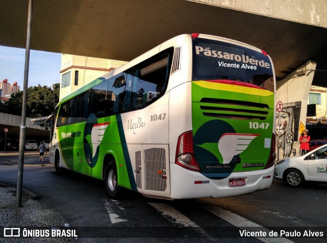 Pássaro Verde 1047 na cidade de Belo Horizonte, Minas Gerais, Brasil, por Vicente de Paulo Alves. ID da foto: 7194247.