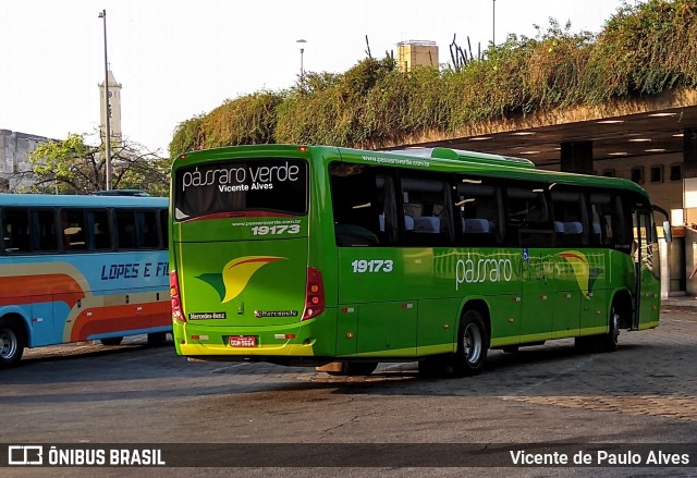 Pássaro Verde 19173 na cidade de Belo Horizonte, Minas Gerais, Brasil, por Vicente de Paulo Alves. ID da foto: 7194230.