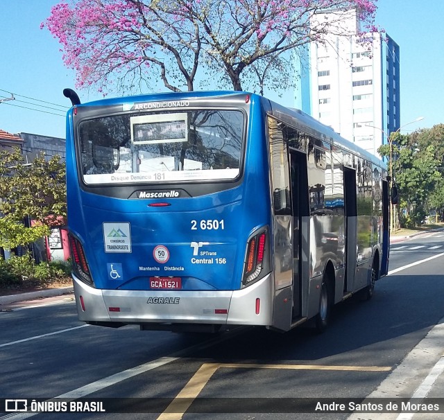 Transcooper > Norte Buss 2 6501 na cidade de São Paulo, São Paulo, Brasil, por Andre Santos de Moraes. Número da foto: #7196026.