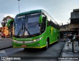 Pássaro Verde 11102 na cidade de Belo Horizonte, Minas Gerais, Brasil, por Vicente de Paulo Alves. Número da foto: #7194235.