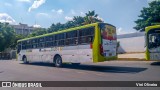 Viva Petrolina 3.751 na cidade de Petrolina, Pernambuco, Brasil, por Viní Oliveira. Número da foto: #:id.