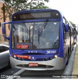Vipol Transportes Rodoviários - TIPBUS - Transportes Intermunicipal 36.081 na cidade de Guarulhos, São Paulo, Brasil, por Giuseppe Thiago Russodivito. Número da foto: #:id.