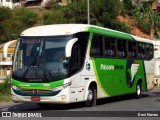 Pássaro Verde 1036 na cidade de Ponte Nova, Minas Gerais, Brasil, por Davi Neves. Número da foto: #:id.