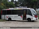 Expresso Pégaso D87207 na cidade de Rio de Janeiro, Rio de Janeiro, Brasil, por Jorge Gonçalves. Número da foto: #7222429.