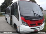 Expresso Pégaso D87134 na cidade de Rio de Janeiro, Rio de Janeiro, Brasil, por Jorge Gonçalves. Número da foto: #7222416.