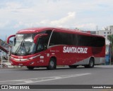 Viação Santa Cruz 25119 na cidade de Aparecida, São Paulo, Brasil, por Leonardo Durso. Número da foto: #7226649.