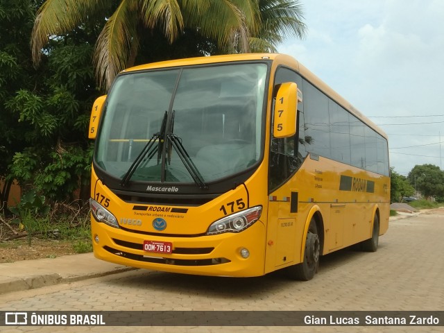 Rodam 175 na cidade de Ji-Paraná, Rondônia, Brasil, por Gian Lucas  Santana Zardo. ID da foto: 7229147.