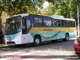 Rosa Turismo 1225 na cidade de Tatuí, São Paulo, Brasil, por Carlos Augusto. Número da foto: #:id.