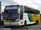 Empresa Gontijo de Transportes 12110 na cidade de Belo Horizonte, Minas Gerais, Brasil, por Adão Raimundo Marcelino. Número da foto: #7231085.