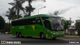 Pássaro Verde 11105 na cidade de Formiga, Minas Gerais, Brasil, por Gabriel Leal. Número da foto: #:id.