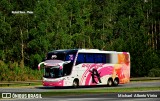 Empresa de Transportes Andorinha 7006 na cidade de Santana de Parnaíba, São Paulo, Brasil, por Michael  Alberto Vieira. Número da foto: #7233800.
