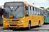 Araucária Transportes Coletivos LC011 na cidade de Curitiba, Paraná, Brasil, por Hipólito Rodrigues. Número da foto: #:id.