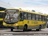 Viação Sandra 9800 na cidade de São João del Rei, Minas Gerais, Brasil, por Tarcisio Rodrigues da Silva. Número da foto: #7233564.