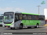 Viação Garcia 8933 na cidade de Londrina, Paraná, Brasil, por Ezequiel Vicente Fernandes. Número da foto: #7242981.