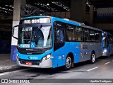 Transwolff Transportes e Turismo 6 6133 na cidade de São Paulo, São Paulo, Brasil, por Hipólito Rodrigues. Número da foto: #:id.