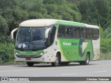 Pássaro Verde 11091 na cidade de Coimbra, Minas Gerais, Brasil, por Christian  Fortunato. Número da foto: #:id.