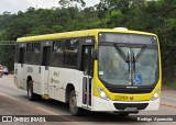 Viação Pioneira 228184 na cidade de Congonhas, Minas Gerais, Brasil, por Rodrigo  Aparecido. Número da foto: #7243139.