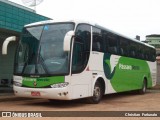 Pássaro Verde 29016 na cidade de Viçosa, Minas Gerais, Brasil, por Christian  Fortunato. Número da foto: #:id.