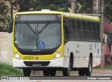 Viação Pioneira 228222 na cidade de Conselheiro Lafaiete, Minas Gerais, Brasil, por Rodrigo  Aparecido. Número da foto: #7245843.