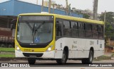 Viação Pioneira 228141 na cidade de Conselheiro Lafaiete, Minas Gerais, Brasil, por Rodrigo  Aparecido. Número da foto: #7245883.