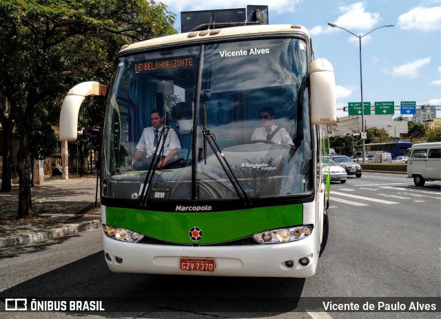 Pássaro Verde 29017 na cidade de Belo Horizonte, Minas Gerais, Brasil, por Vicente de Paulo Alves. ID da foto: 7247204.