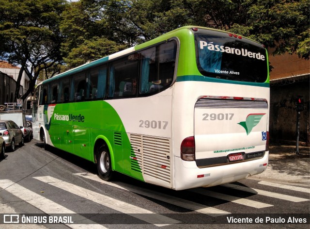 Pássaro Verde 29017 na cidade de Belo Horizonte, Minas Gerais, Brasil, por Vicente de Paulo Alves. ID da foto: 7247213.