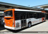 TRANSPPASS - Transporte de Passageiros 8 1059 na cidade de São Paulo, São Paulo, Brasil, por FELIPE ALMEIDA. Número da foto: #:id.