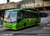 Pássaro Verde 19169 na cidade de Belo Horizonte, Minas Gerais, Brasil, por Vicente de Paulo Alves. Número da foto: #7198171.
