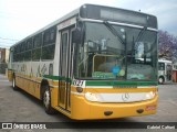 Sentinela Transportes 4121 na cidade de Porto Alegre, Rio Grande do Sul, Brasil, por Gabriel Cafruni. Número da foto: #:id.