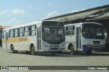 Escolares 5564 na cidade de Cabaceiras do Paraguaçu, Bahia, Brasil, por Carlos  Henrique. Número da foto: #:id.