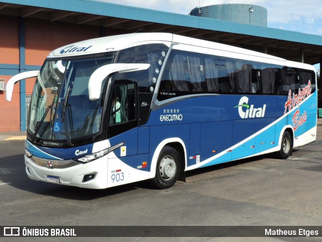 Citral Transporte e Turismo 903 na cidade de Porto Alegre, Rio Grande do Sul, Brasil, por Matheus Etges. Número da foto: #7257785.